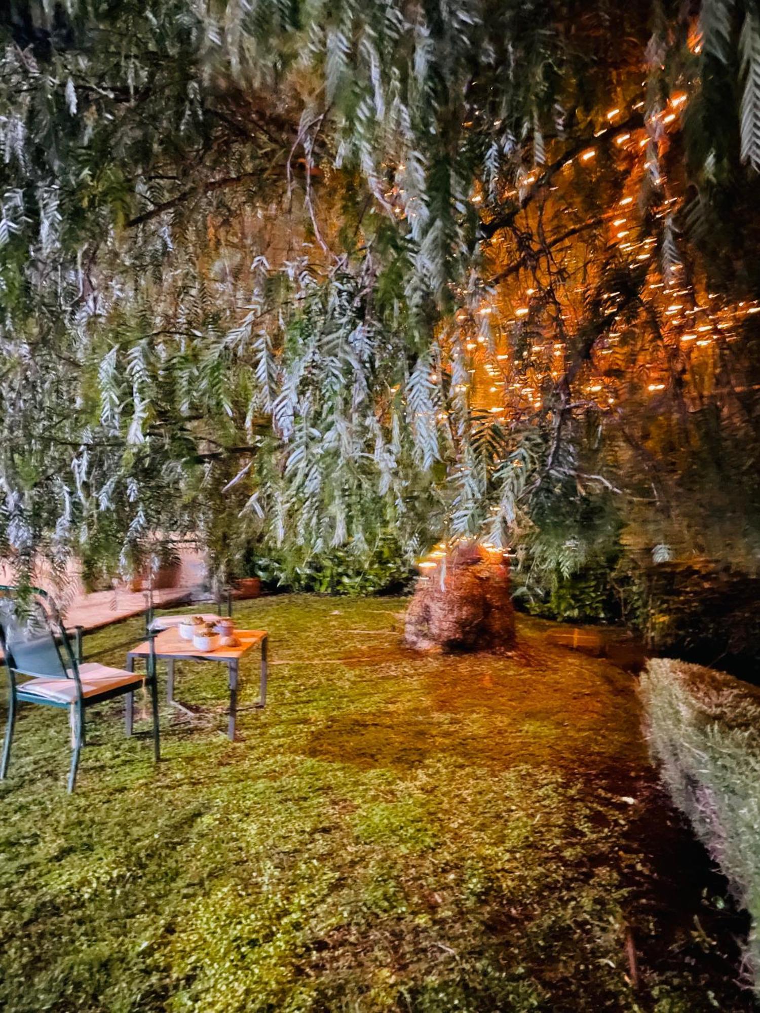 Casa Fiorita Appia Antica Apartamento *